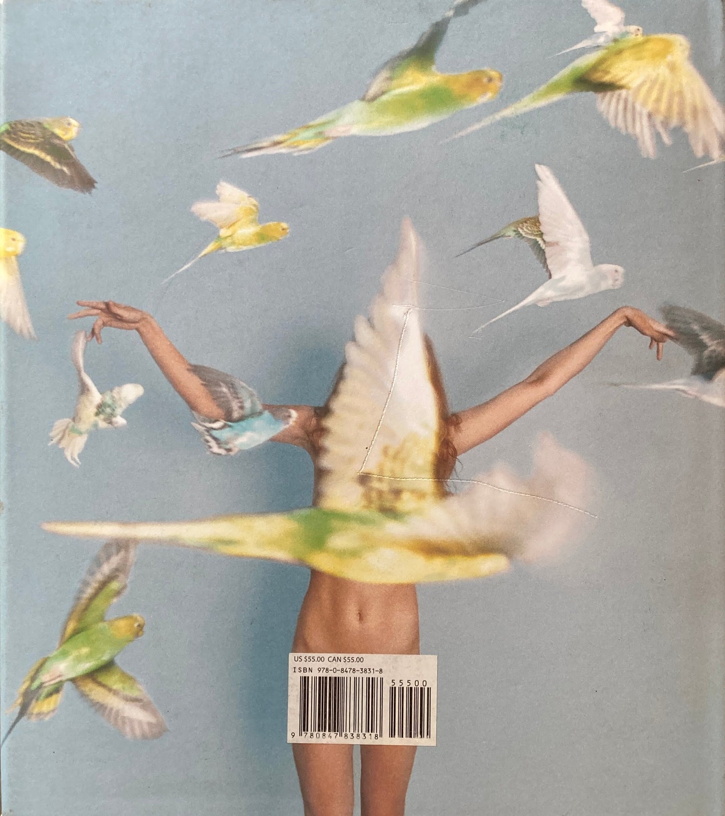 Whistle for the Wind Ryan McGinley ライアン・マッギンレー写真集