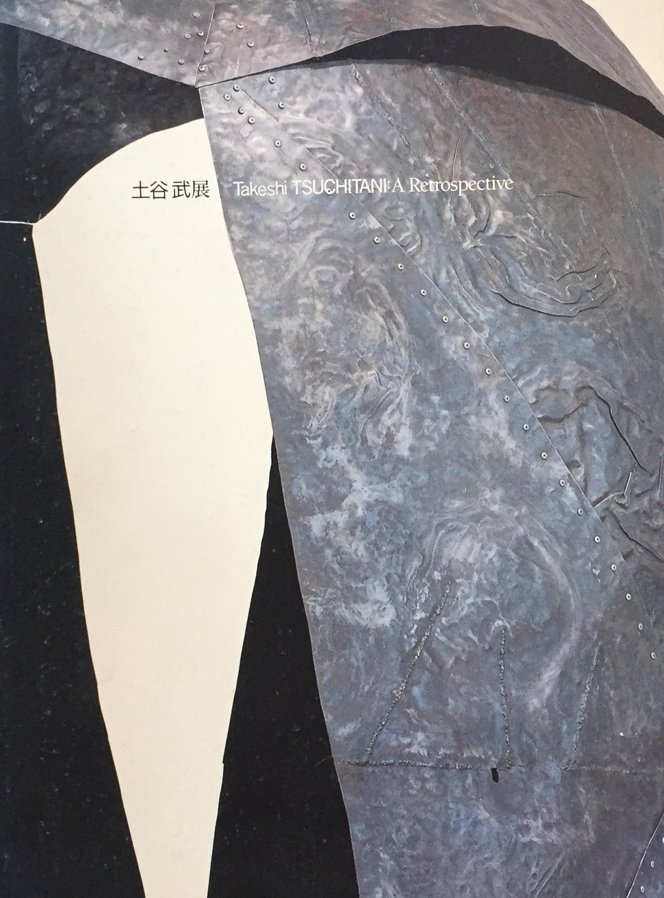 土屋武展 Takeshi TSUCHITANI:A Retrospective