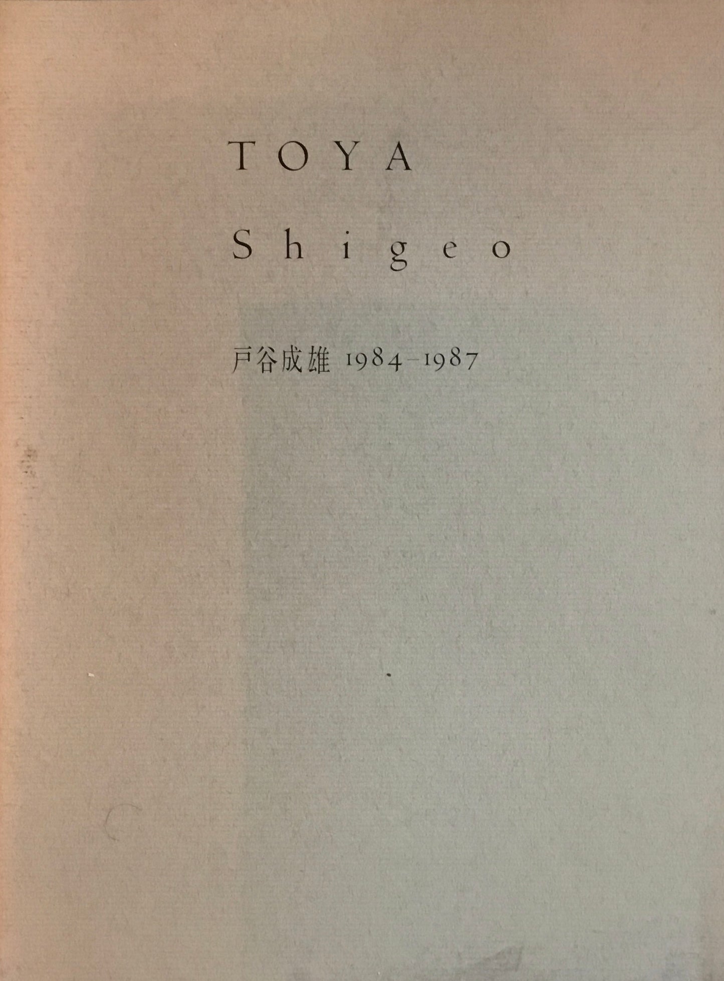 戸谷成雄 1984-1987 佐谷画廊