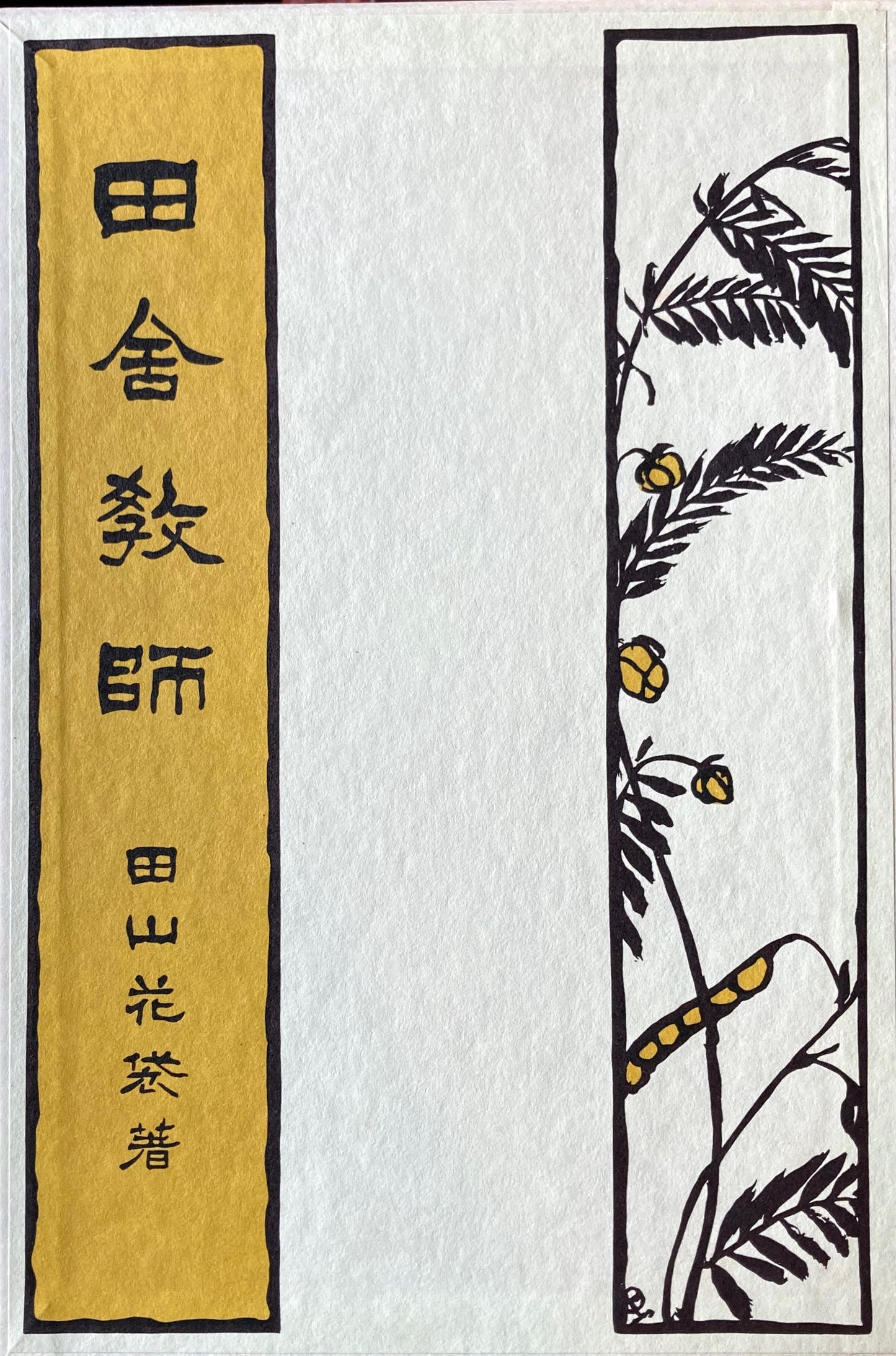田舎教師 田山花袋 新選名著複刻全集 近代文学館 昭和55年