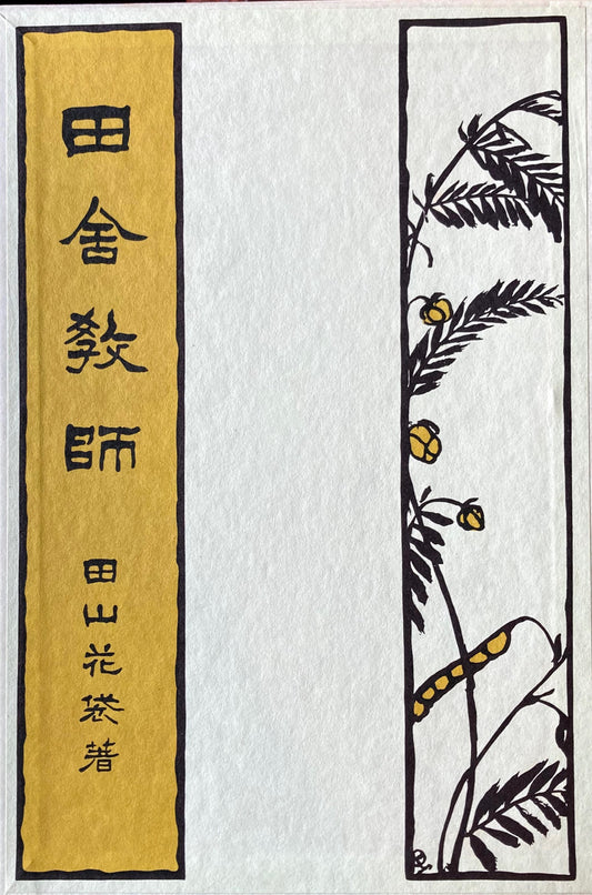 田舎教師 田山花袋 新選名著複刻全集 近代文学館 昭和55年