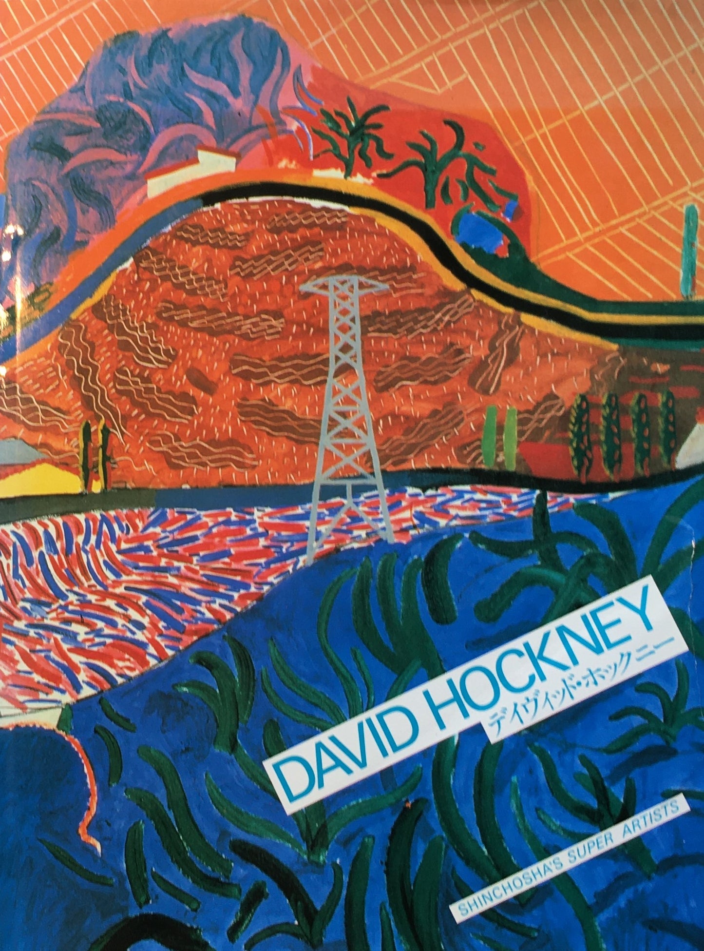 デイヴィッド・ホックニー David Hockney Shinchosya's Super Artists