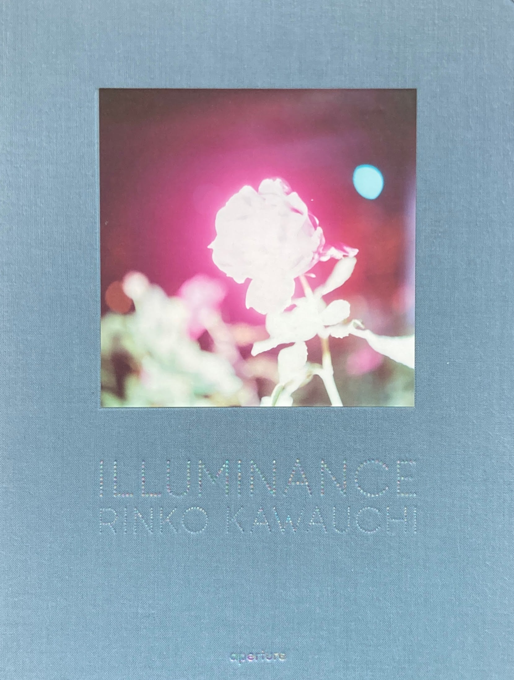 川内倫子写真集 ILLUMINANCE RINKO KAWAUCHI – smokebooks shop