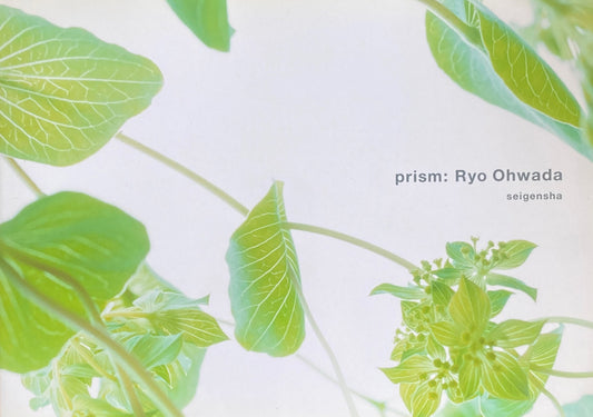 prism Ryo Ohwada 大和田良