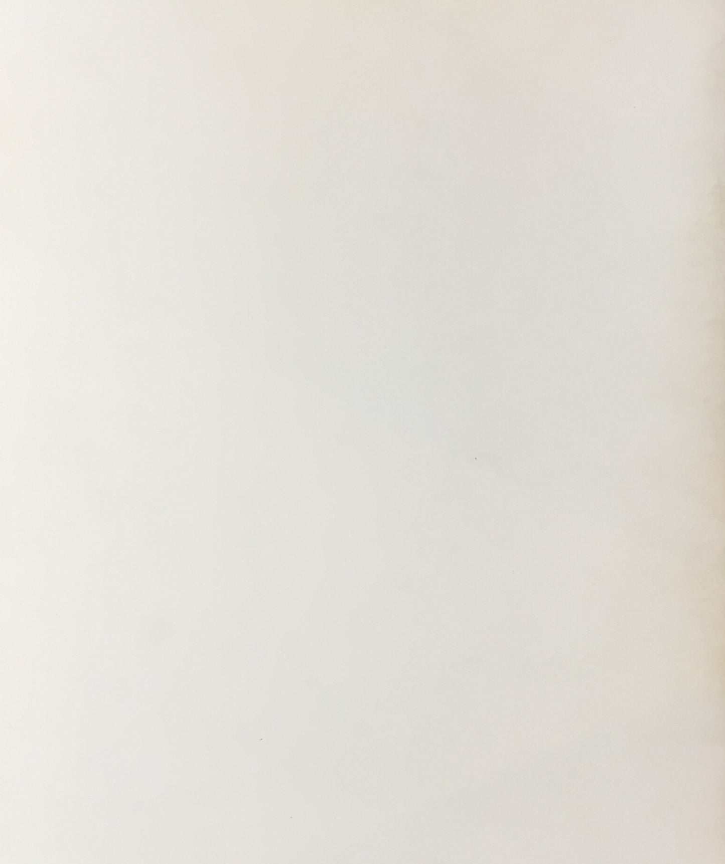 HOMMAGE A HANS BELLMER  Galerie François Petit オマージュ ハンス・ベルメール展 カタログ