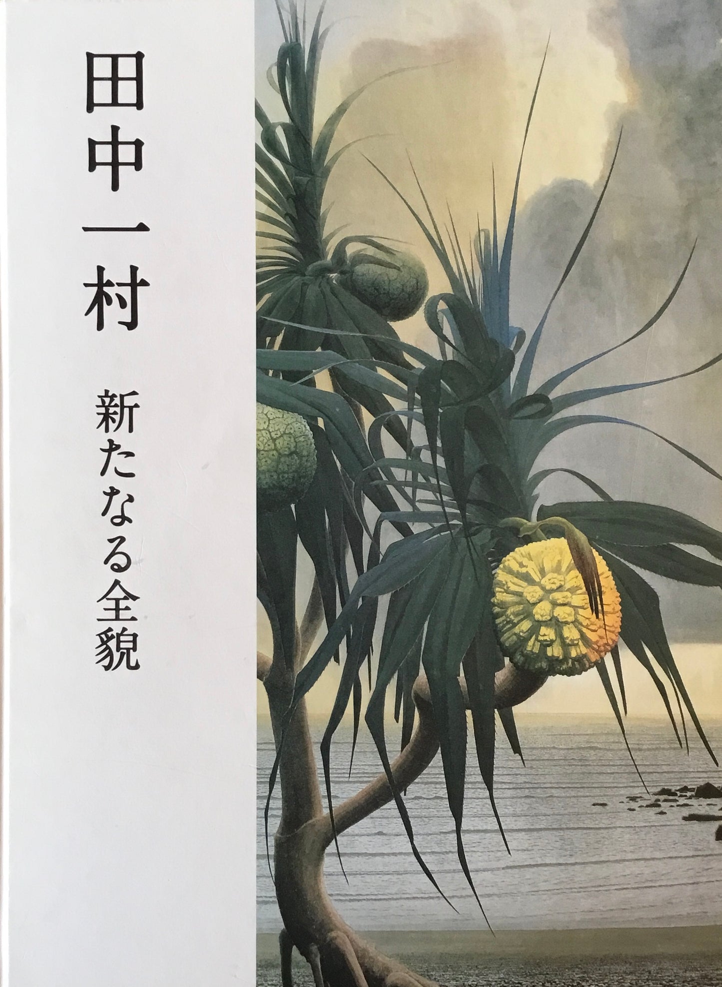 田中一村 新たなる全貌 千葉市美術館