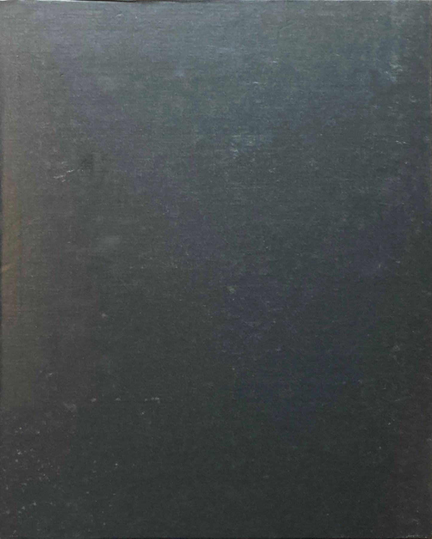 麻生三郎作品集 南天子画廊