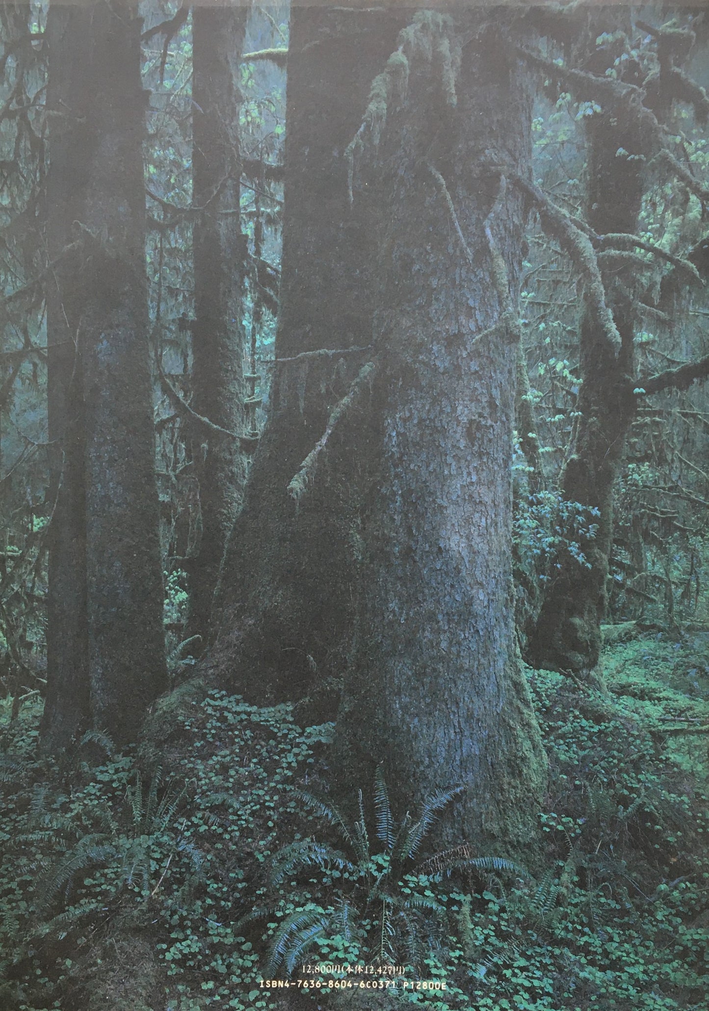 QUINAULT Yoshihiko UEDA 上田義彦 京都書院版