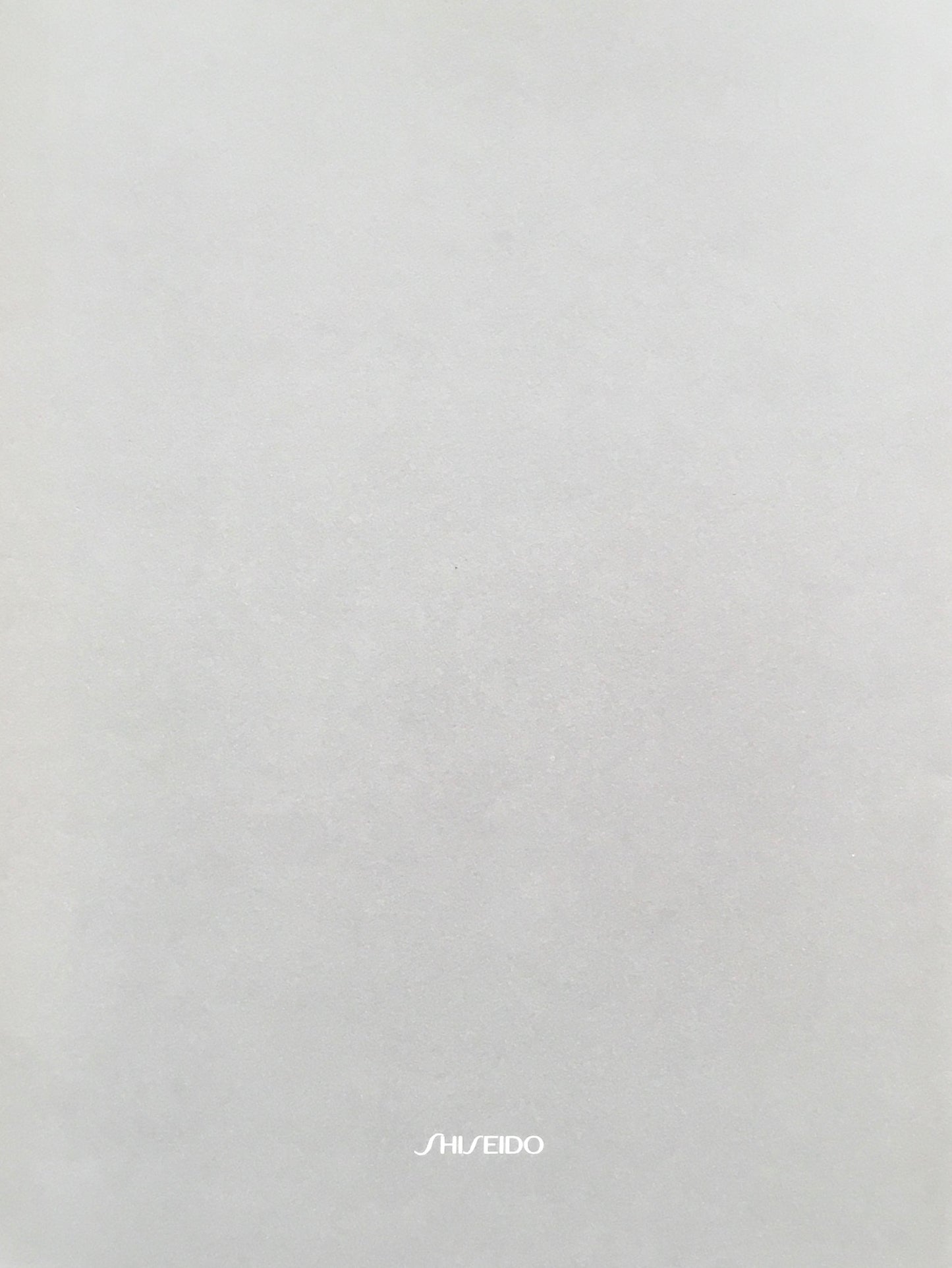 イワタ ルリ個展カタログ 資生堂