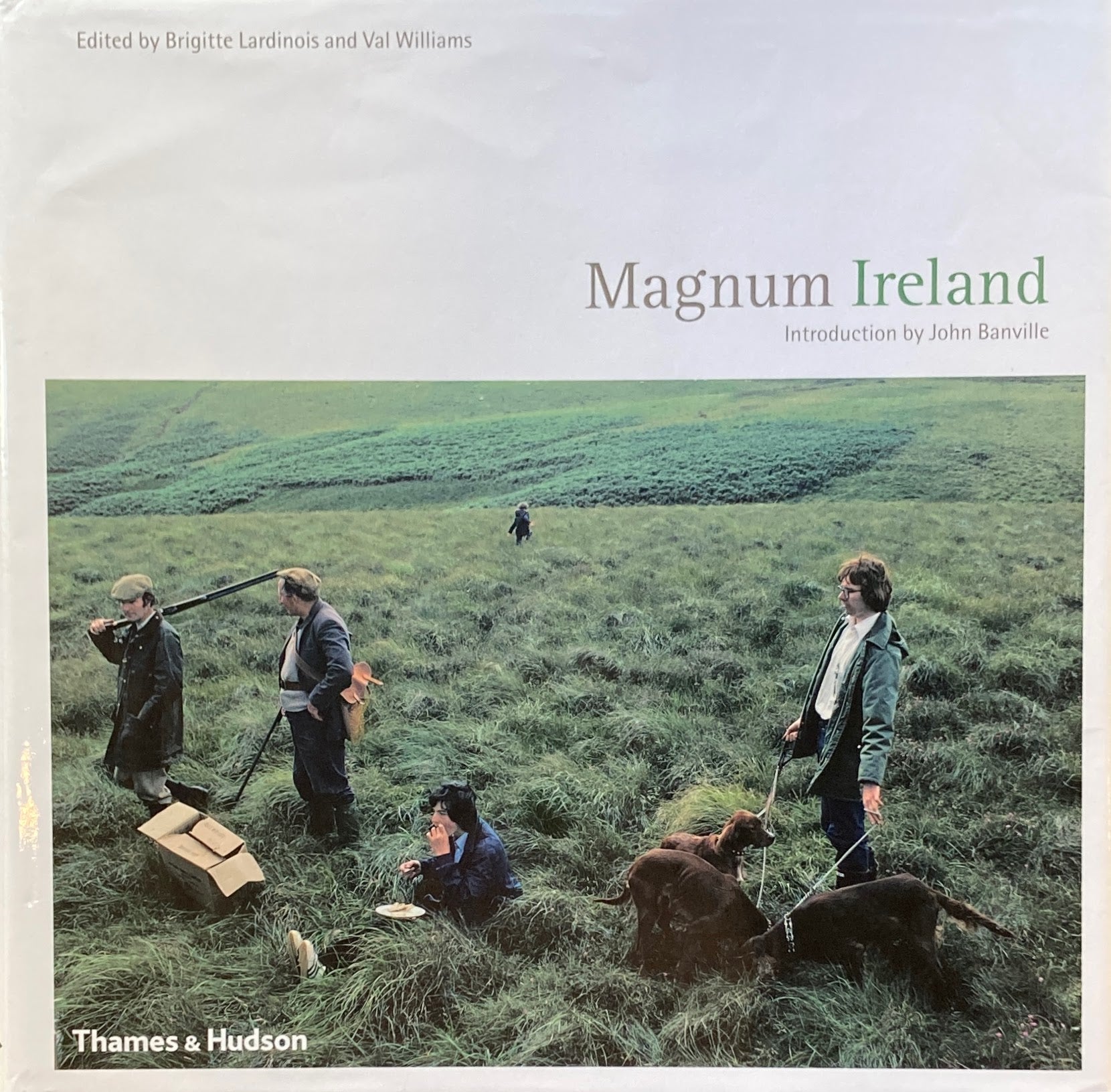 Magnum Ireland
