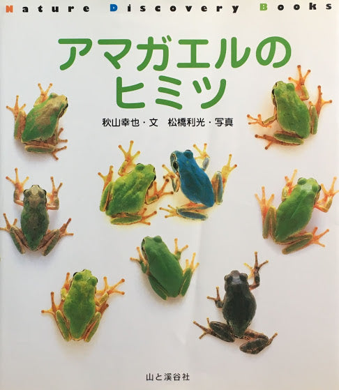 アマガエルのヒミツ