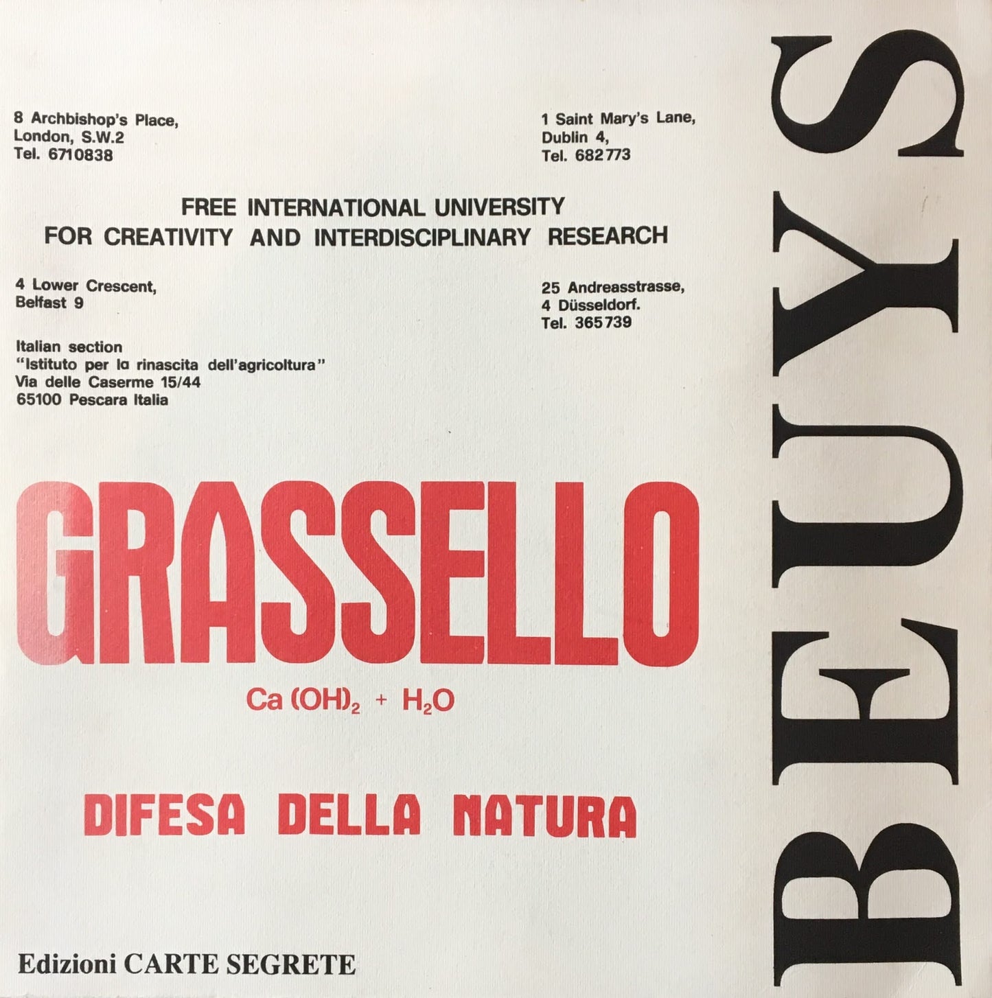 GRASSELLO Ca(OH)2+H2O DIFESA DELLA NAATURA  JOSEPH BEUYS