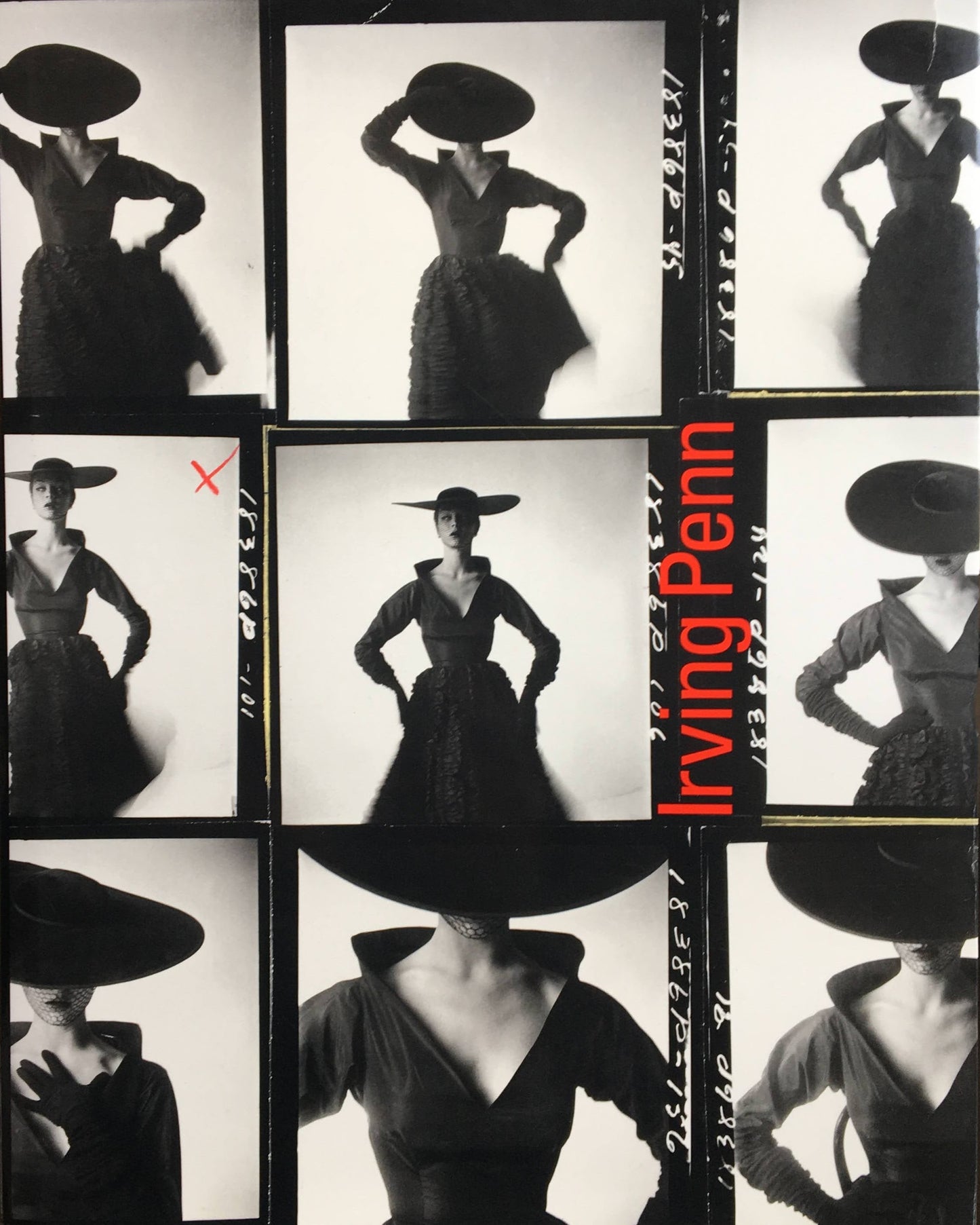 アーヴィング・ペン Irving Penn  A Career in Photography