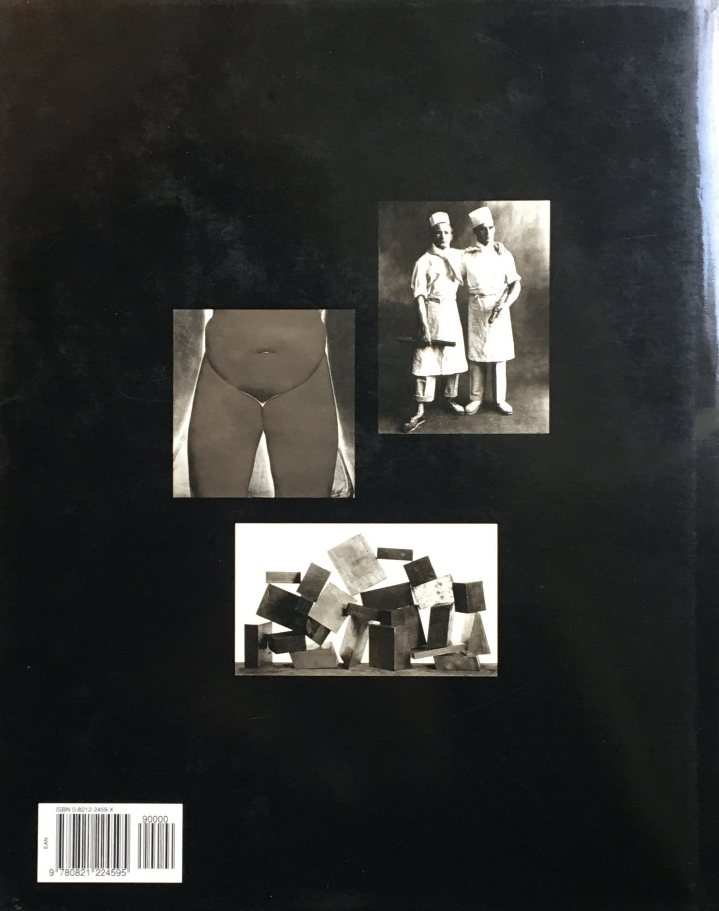 アーヴィング・ペン Irving Penn A Career in Photography