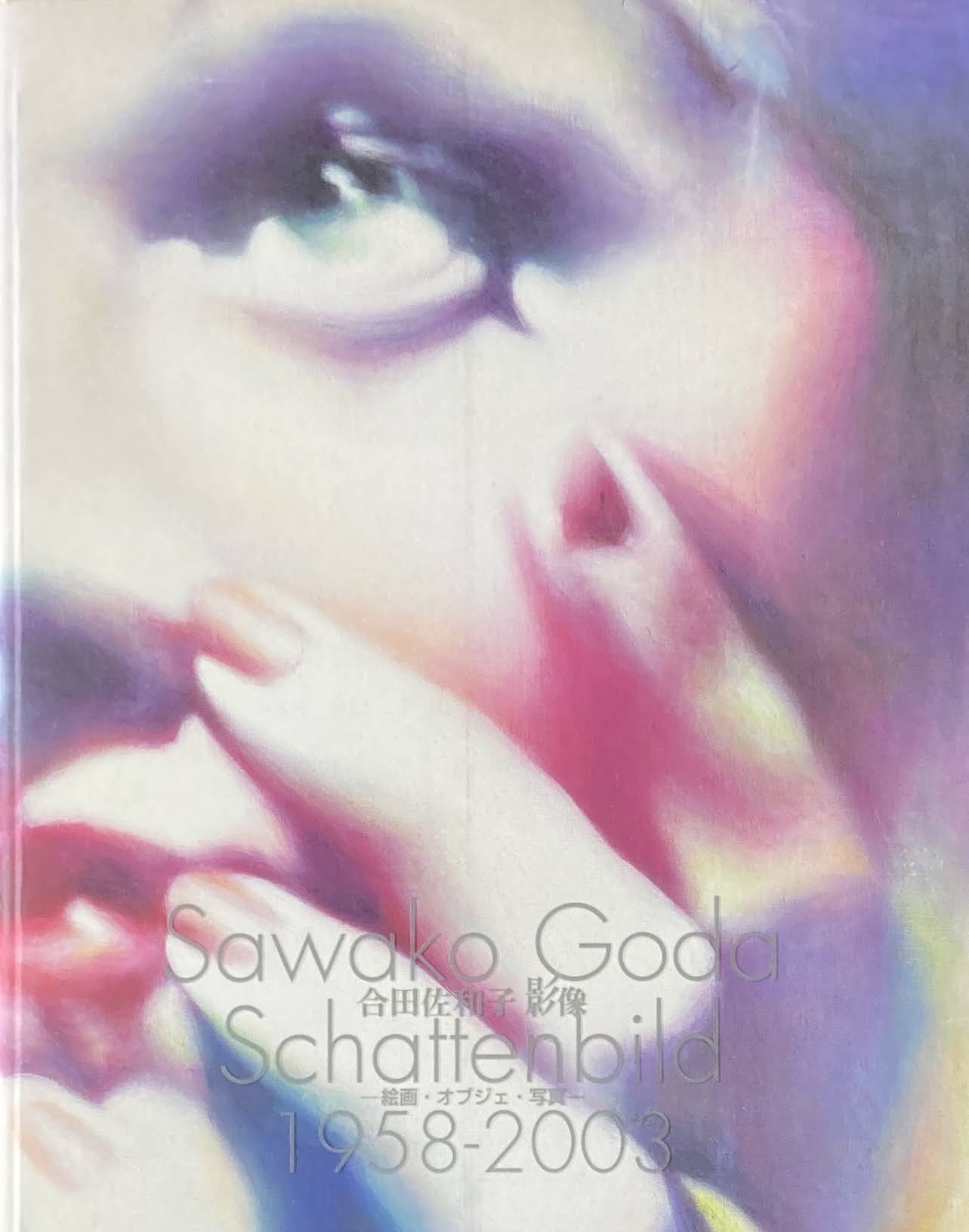 合田佐和子 影像 絵画・オブジェ・写真 1958-2003 松濤美術館
