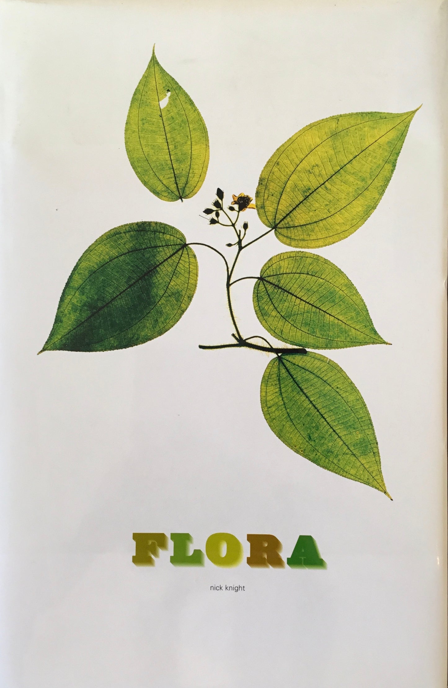 FLORA by nick knight Schimer/Mosel