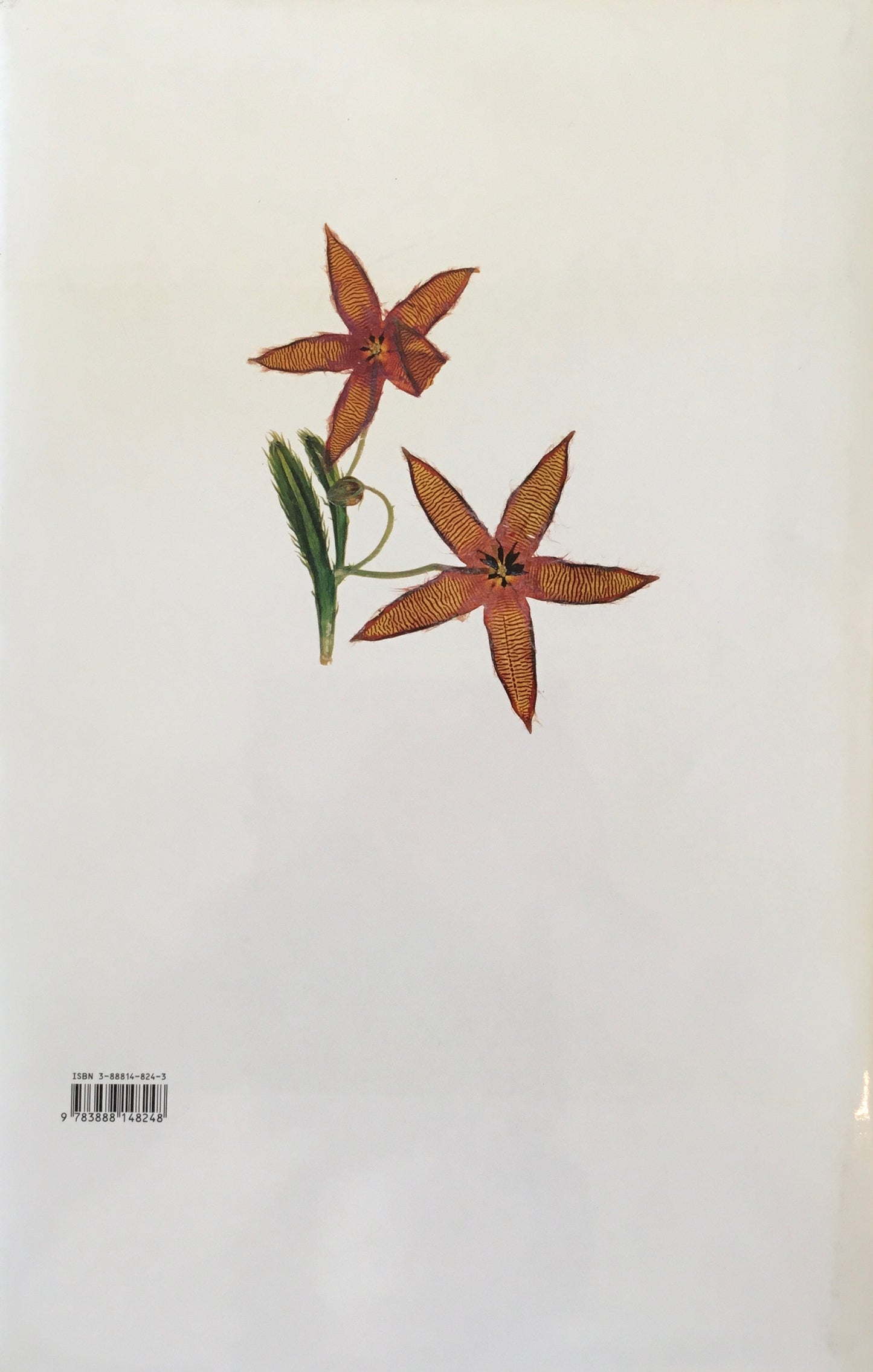 FLORA nick knight Schimer/Mosel