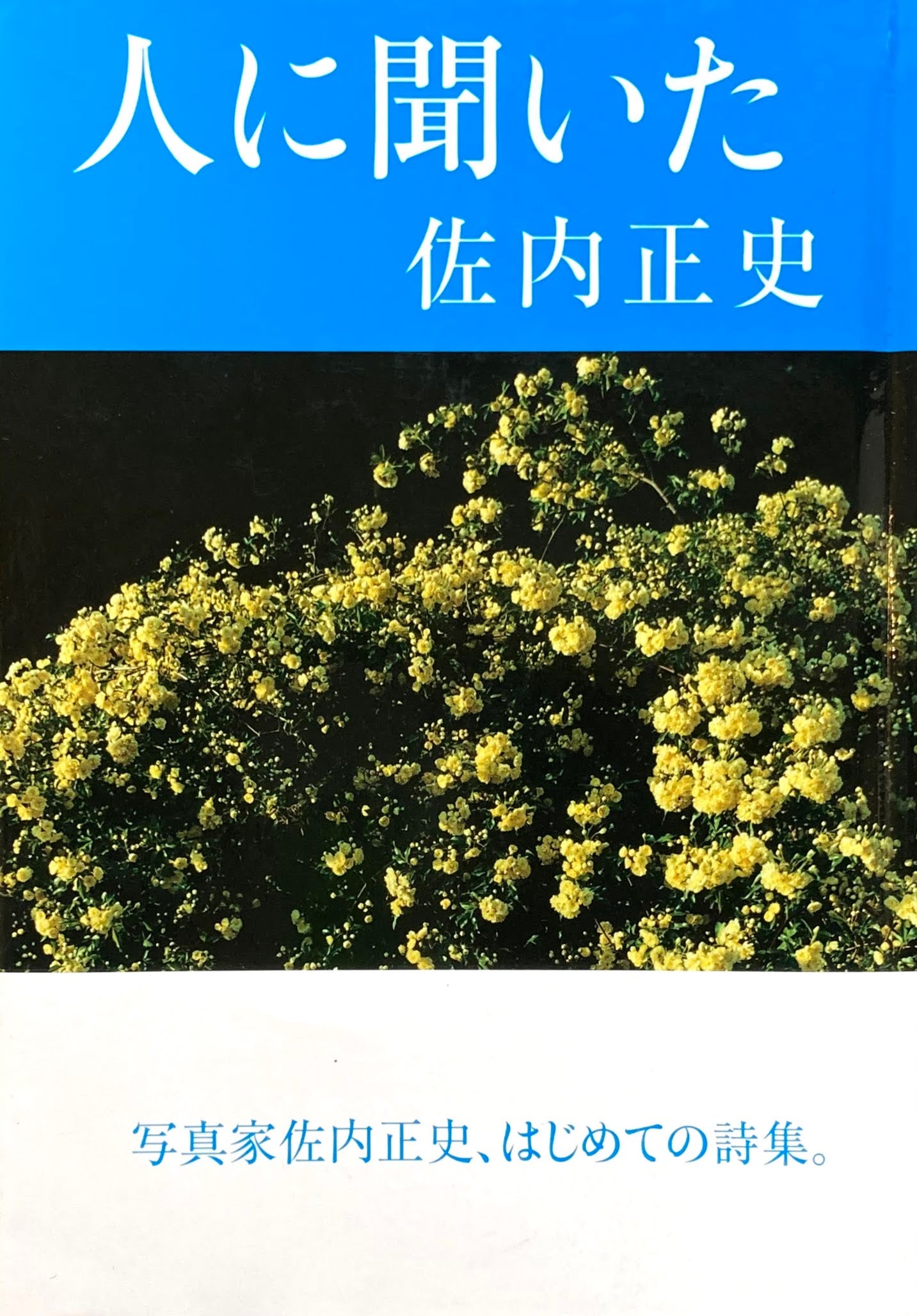 人に聞いた 佐内正史