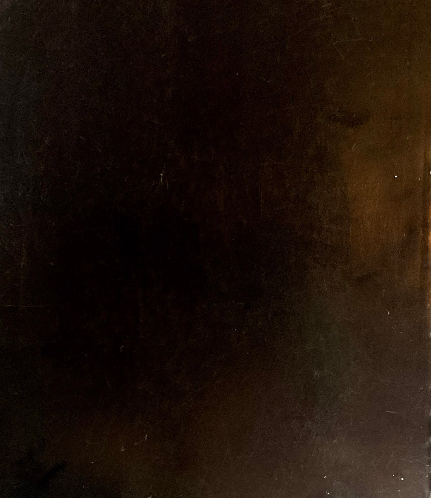 ホルスト・ヤンセン展 1982 神奈川県立近代美術館