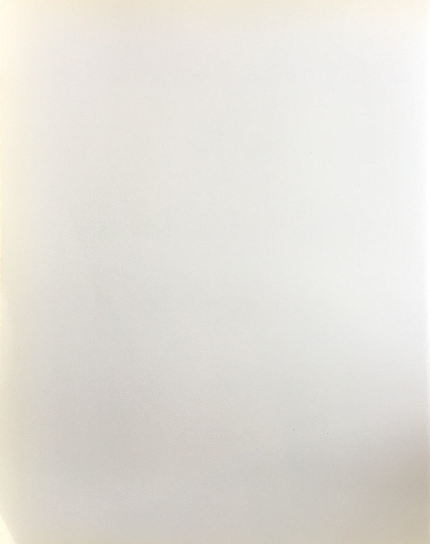 林武展 生誕100年記念