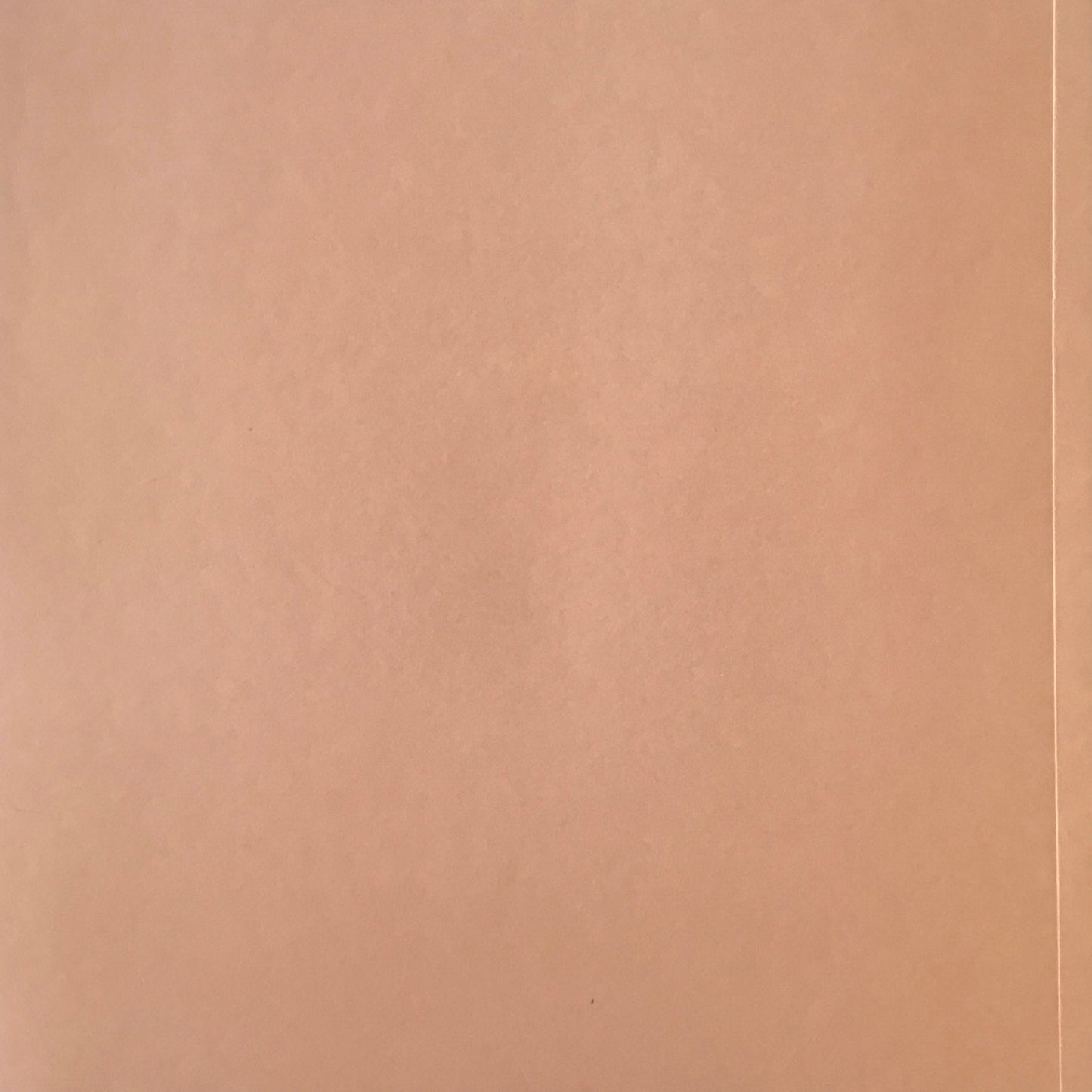 ALL THINGS ORDINARY issue one spring 2009