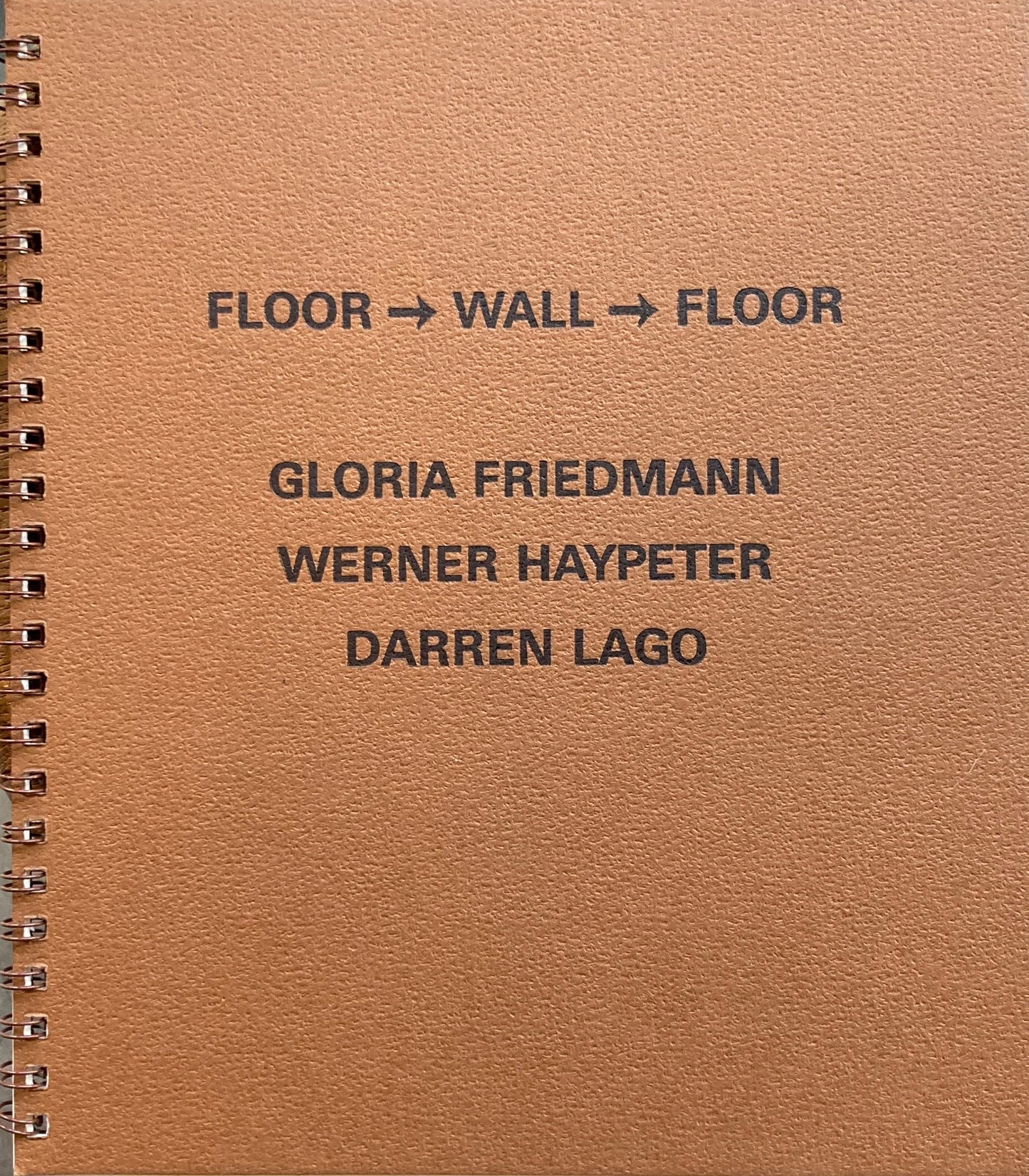 FLOOR WALL FLOOR Gloria Friedmann Werner Haypeter Darren Lago
