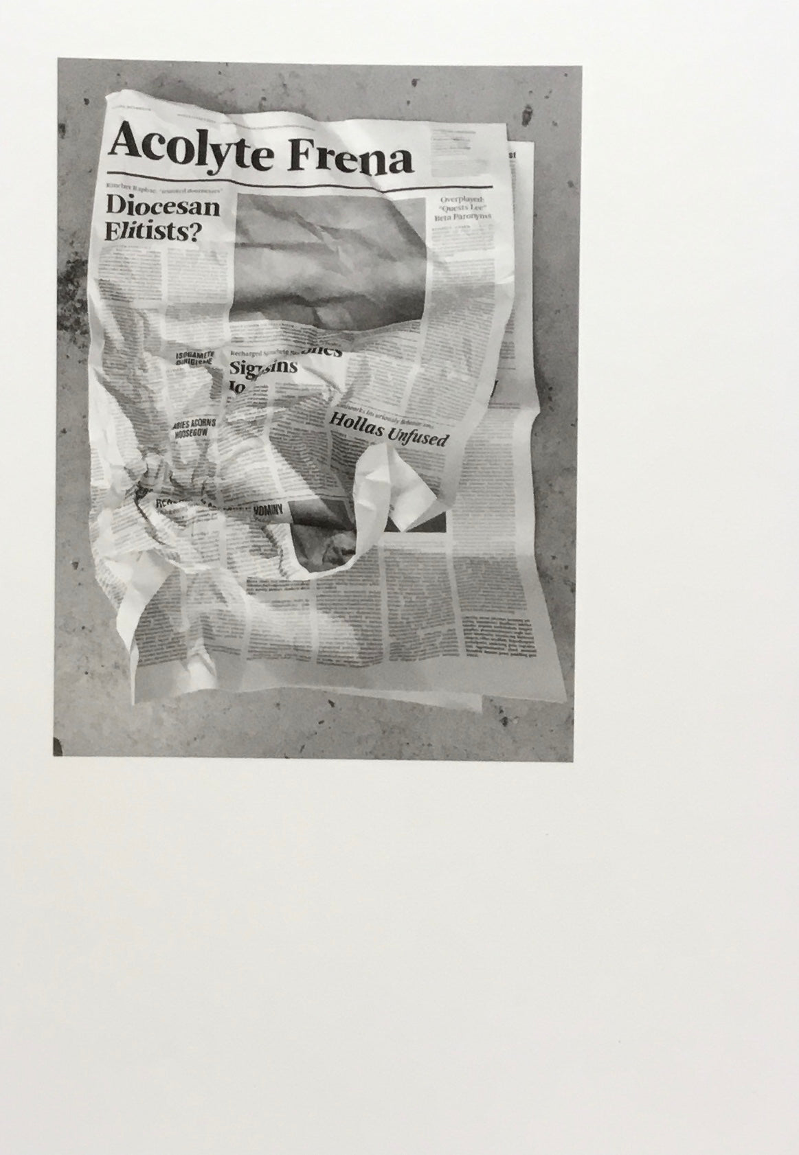 Acolyte Frena Mark Manders マーク・マンダース