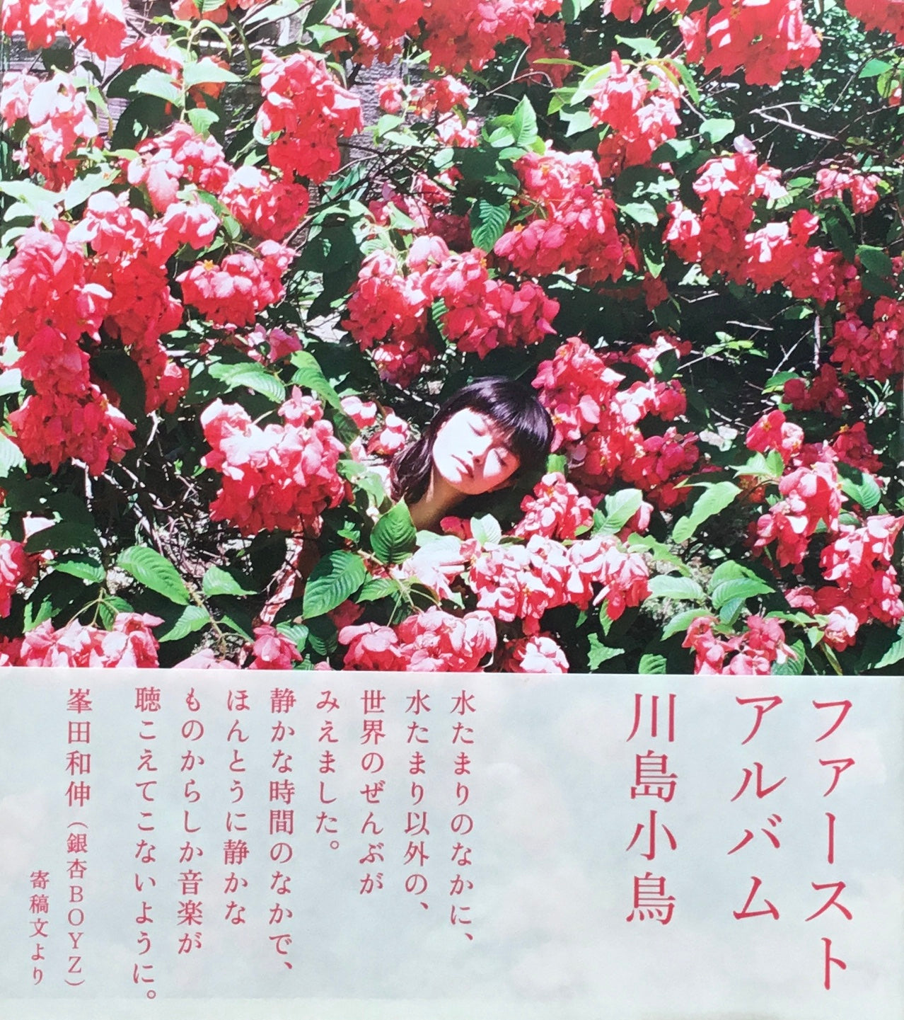 ファーストアルバム 川島小鳥