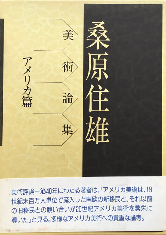 美術論集 アメリカ篇 桑原住雄