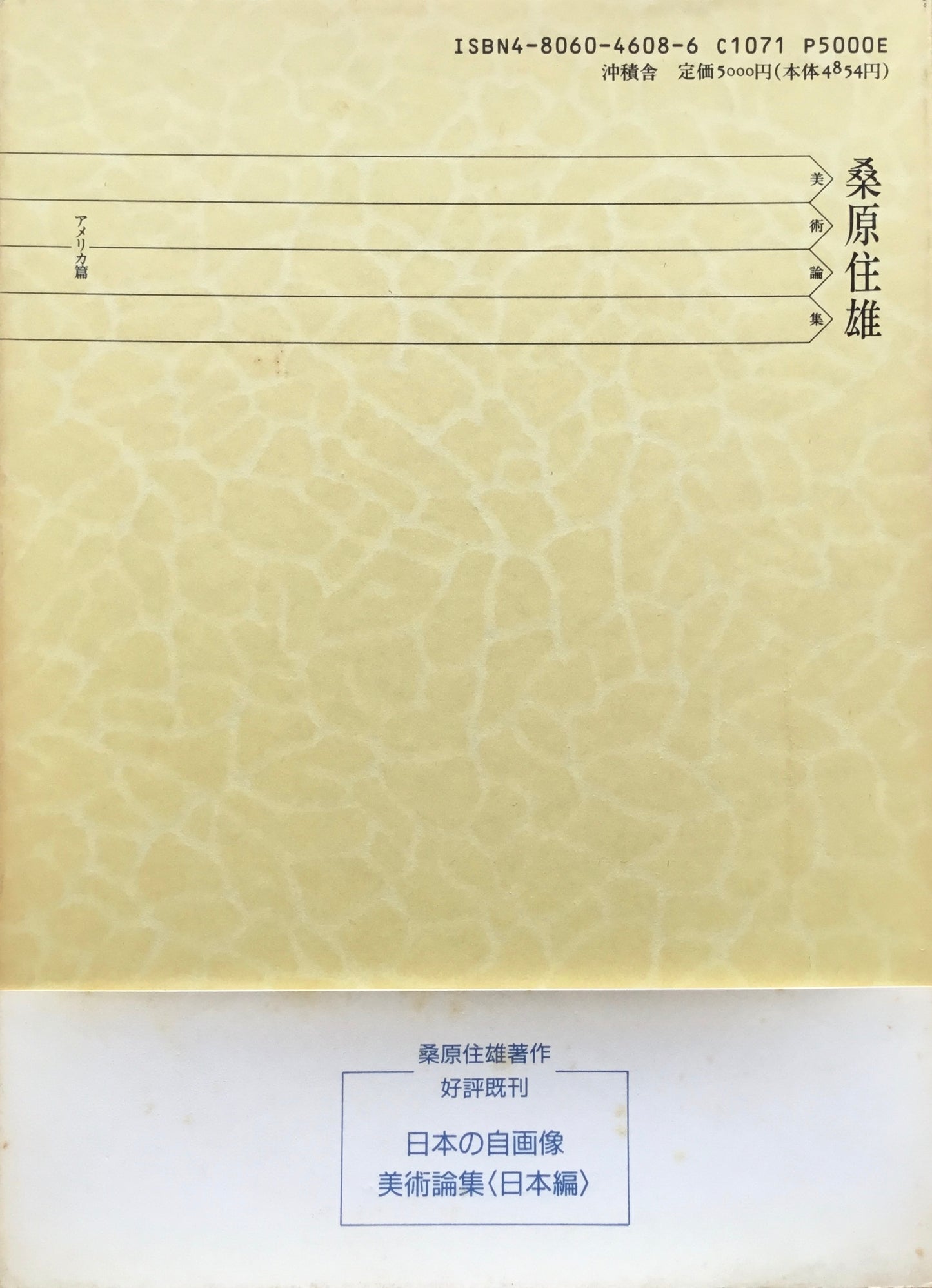 美術論集 アメリカ篇 桑原住雄