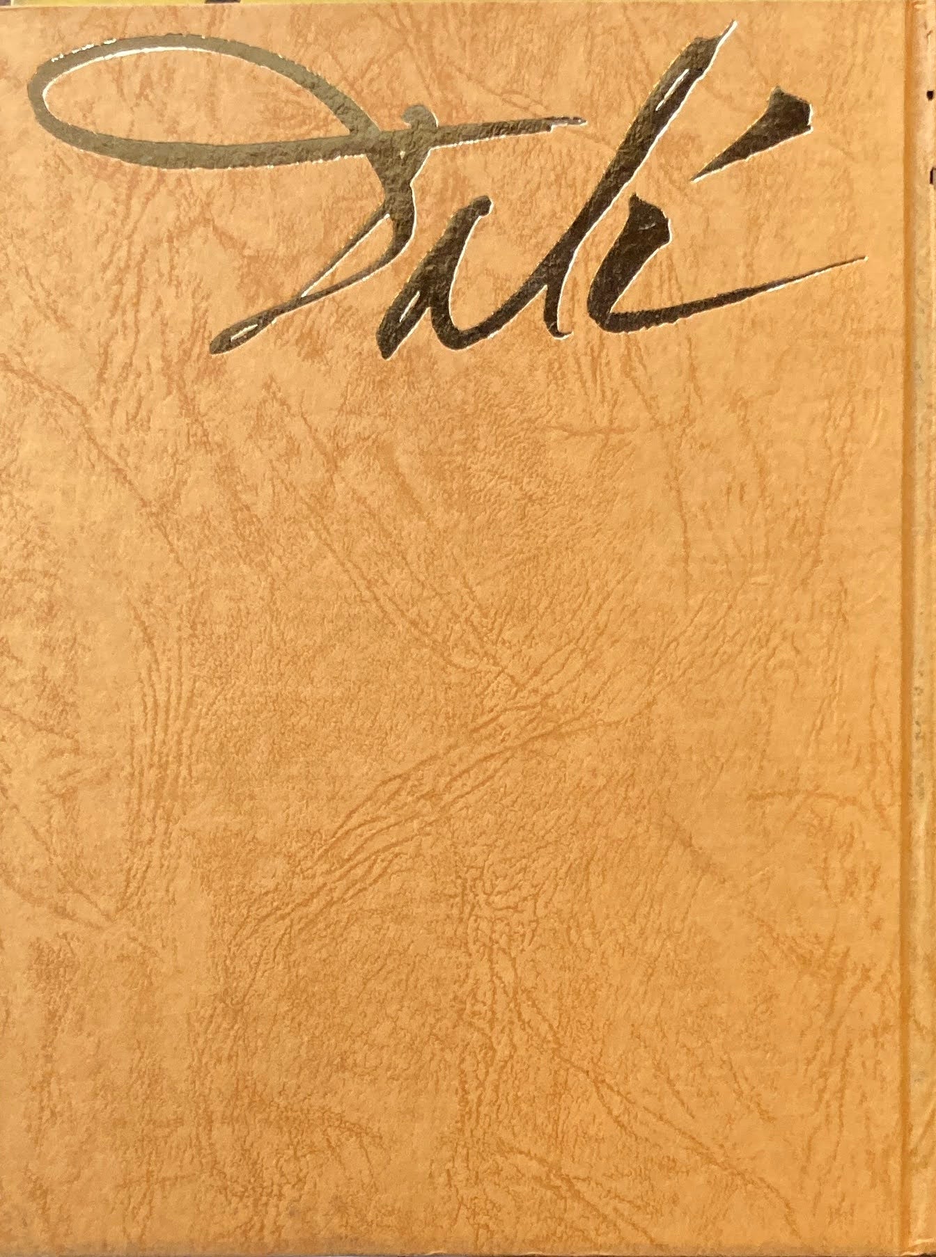 ナルシスの変貌 ダリ芸術論集 サルヴァドーリ・ダリ