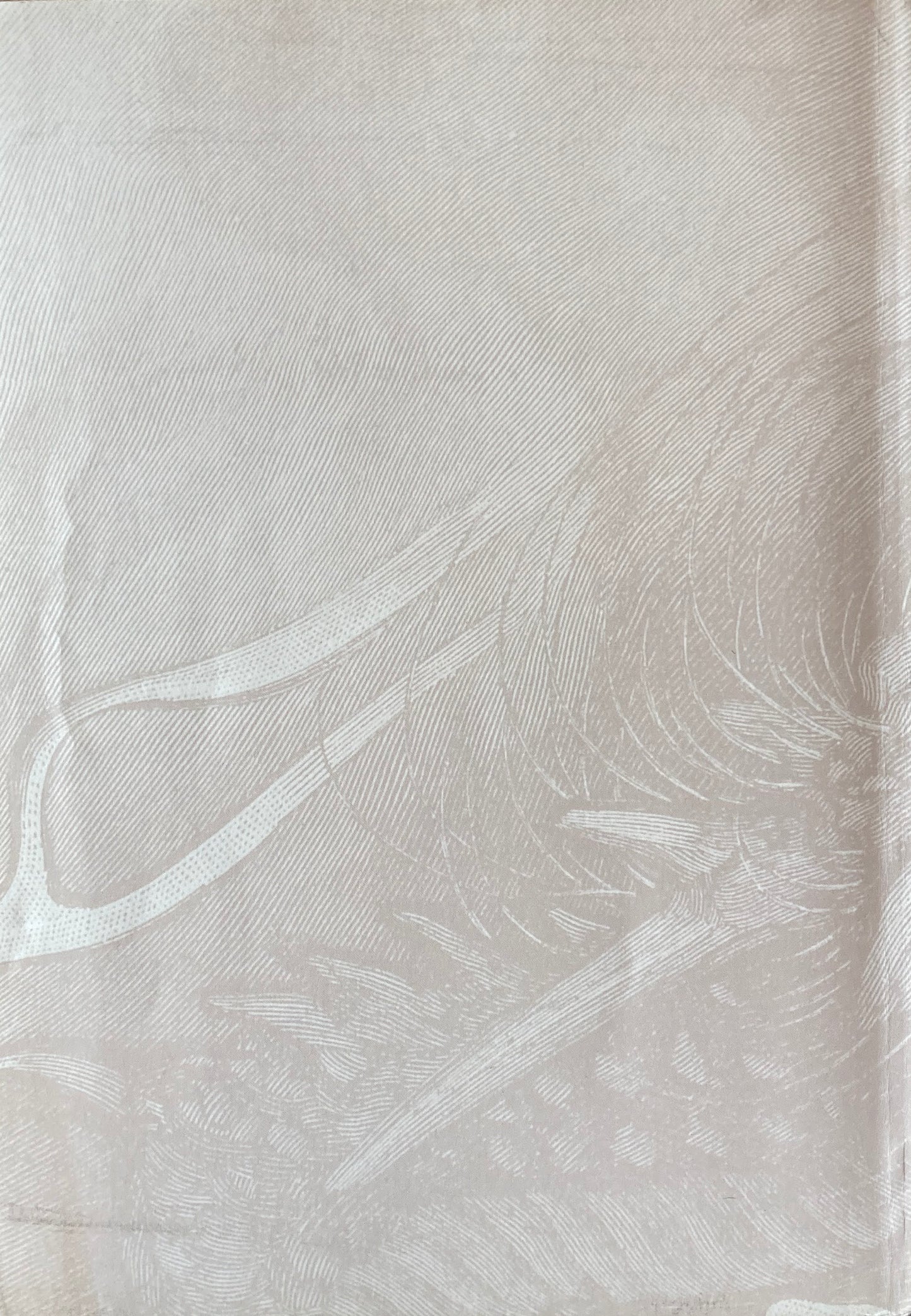 日本の木口木版画 明治から今日まで 板橋区立美術館