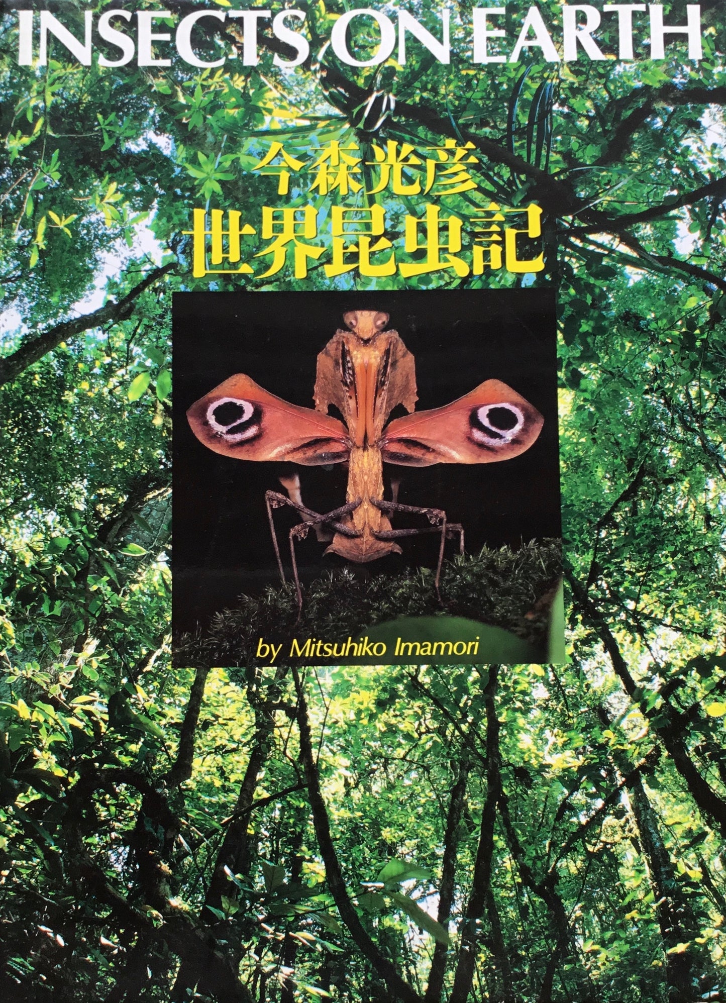 世界昆虫記 INSECTS ON EARTH 今森光彦