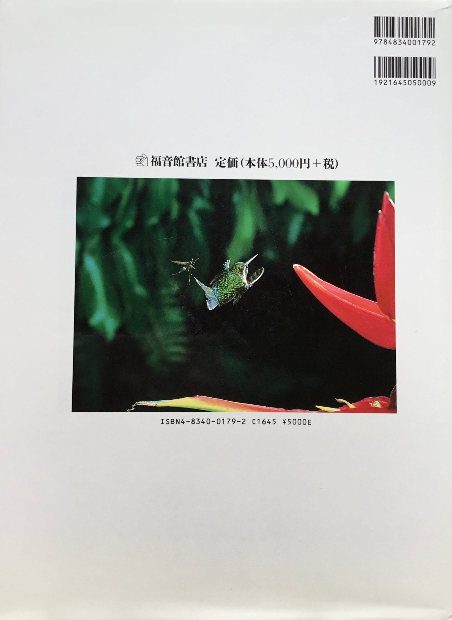 世界昆虫記 INSECTS ON EARTH 今森光彦