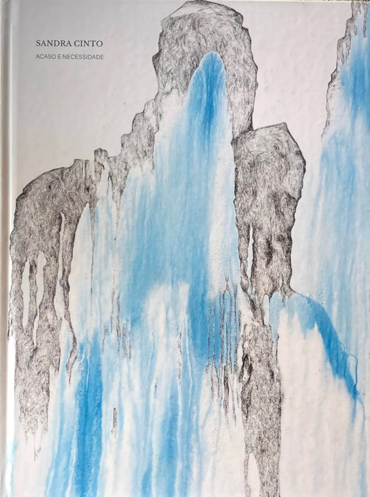 Sandra Cinto Acaso e necessidade サンドラ・シント