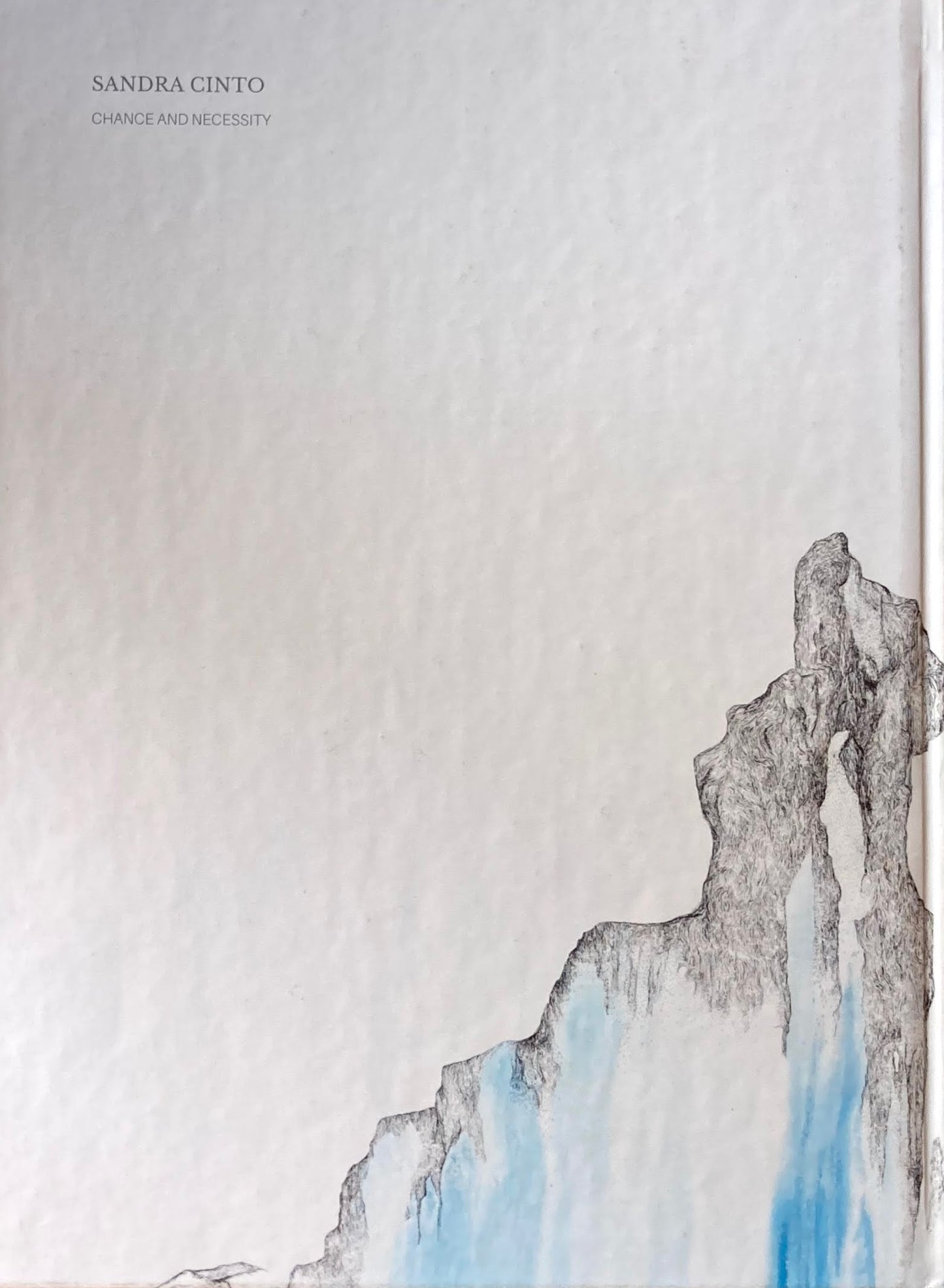 Sandra Cinto Acaso e necessidade サンドラ・シント