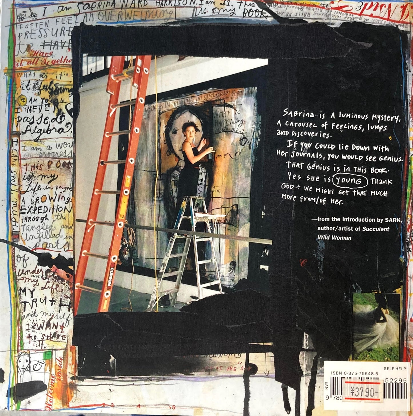 Spilling Open The Art of Becoming Yourself Sabrina Ward Harrison