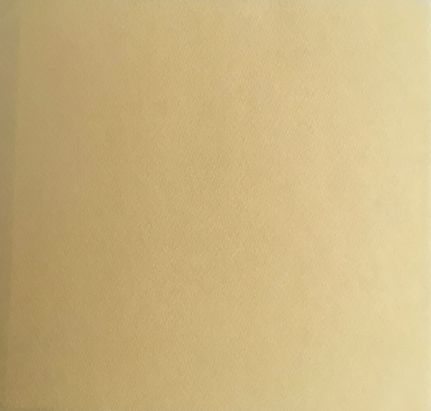 大沢昌助作品展 彩壺堂 1973