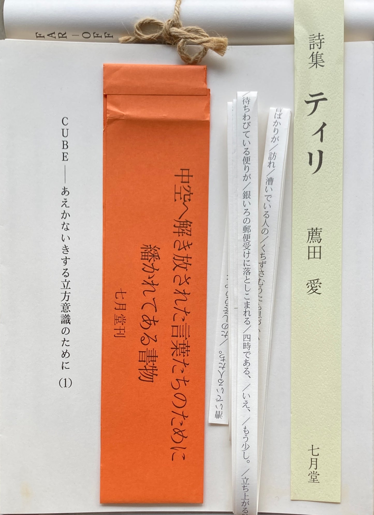 薦田愛第二詩集『ティリ』
