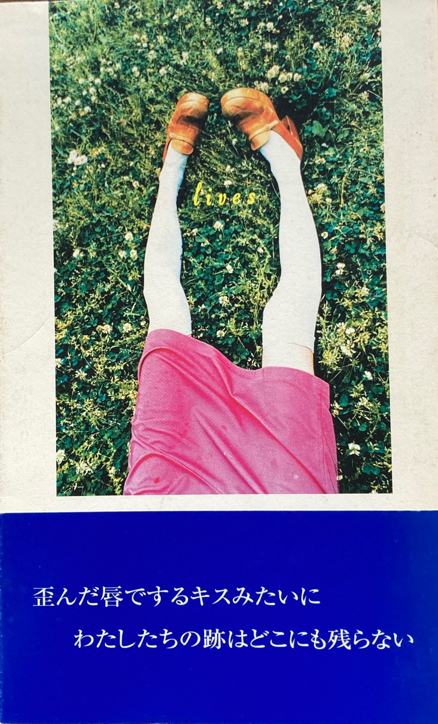 lives 川口晴美詩集