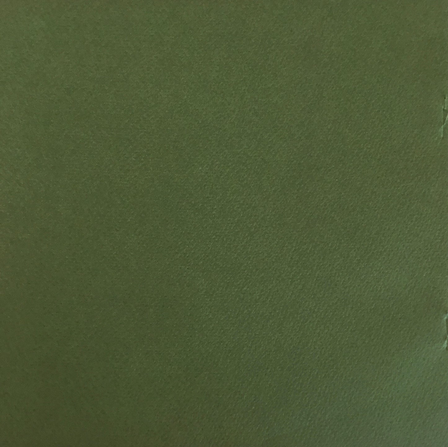 BRASILIER アンドレ・ブラジリエ展 吉井画廊