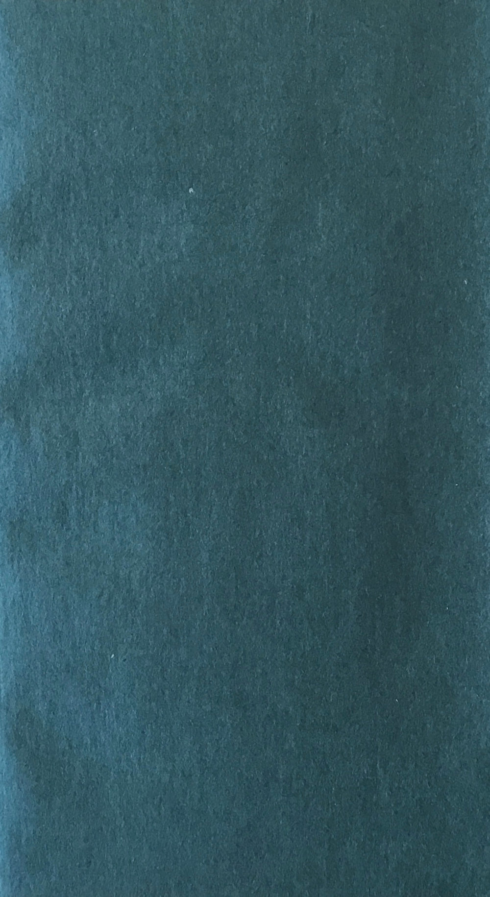 見せられない日記 竹久夢二