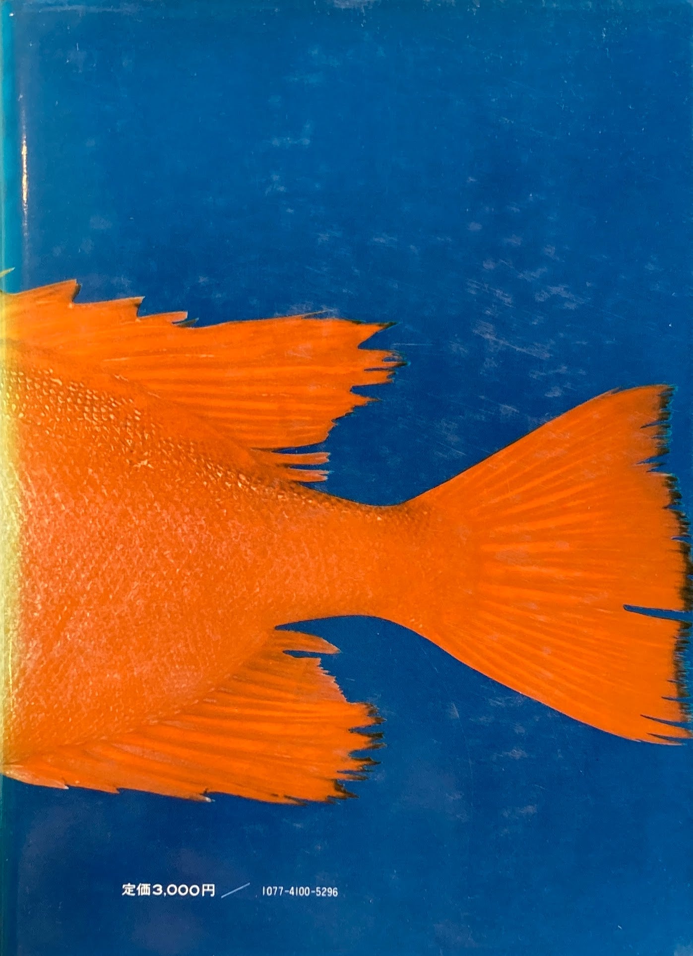 日本の郷土料理 沢本まつ子 南部あき子 全国料理研究会柊会