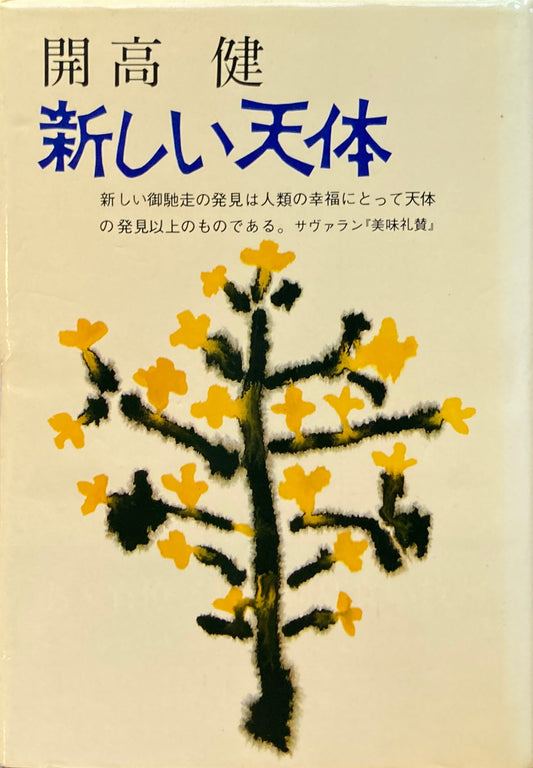 新しい天体 開高健