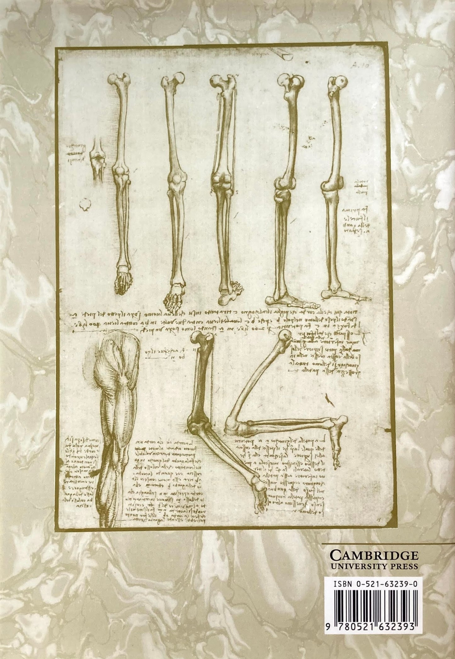 The Writings and Drawings of Leonardo da Vinci Order and Chaos in Early Modern Thought