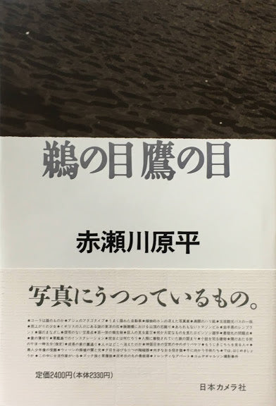 鵜の目鷹の目 赤瀬川原平