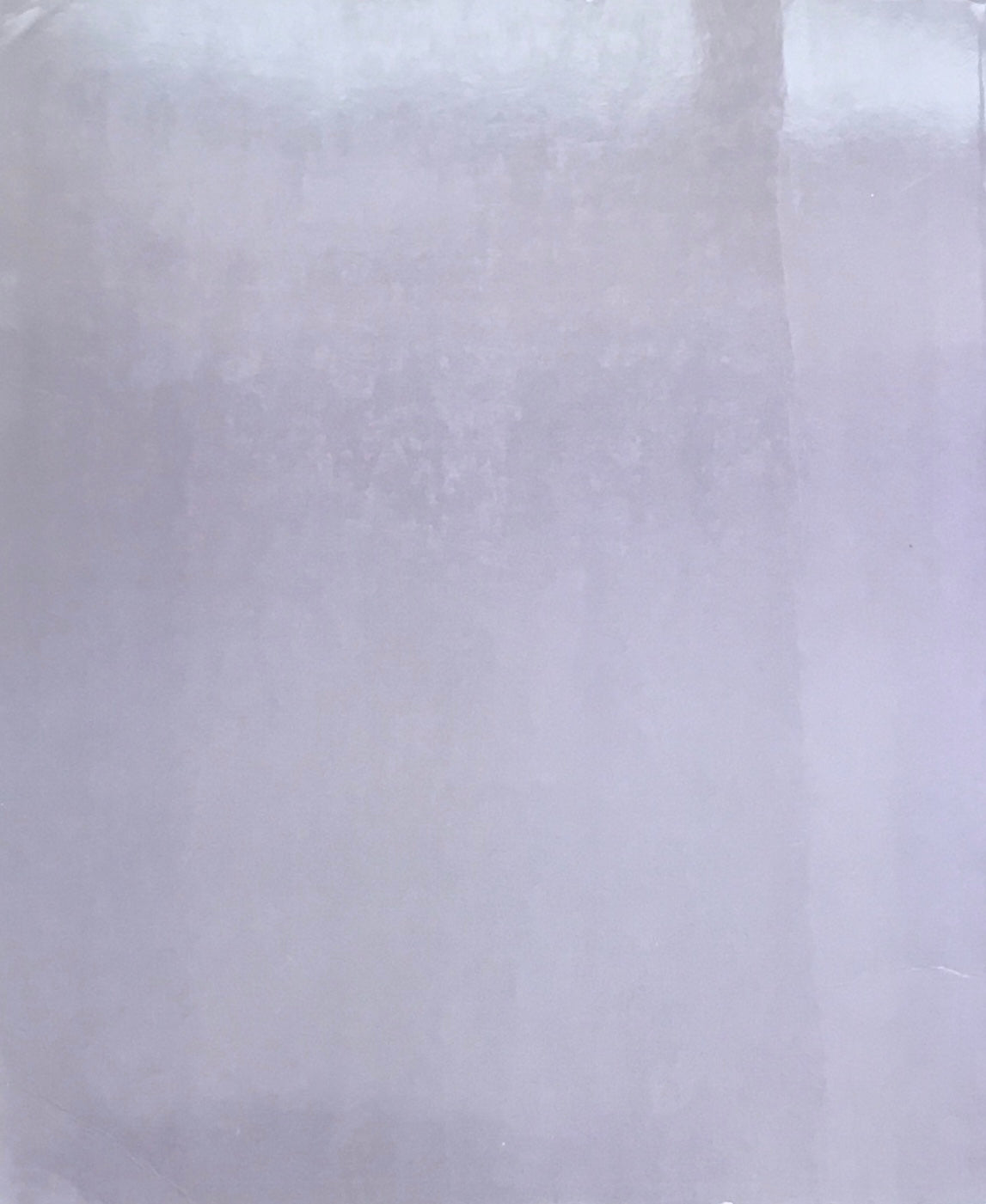 Identity and Alterity Figues of the Body 1895/1995 Venice Biennale ヴェネツィア・ビエンナーレ