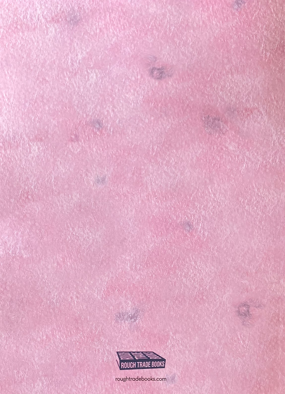Pink Moon Marcel Dzama