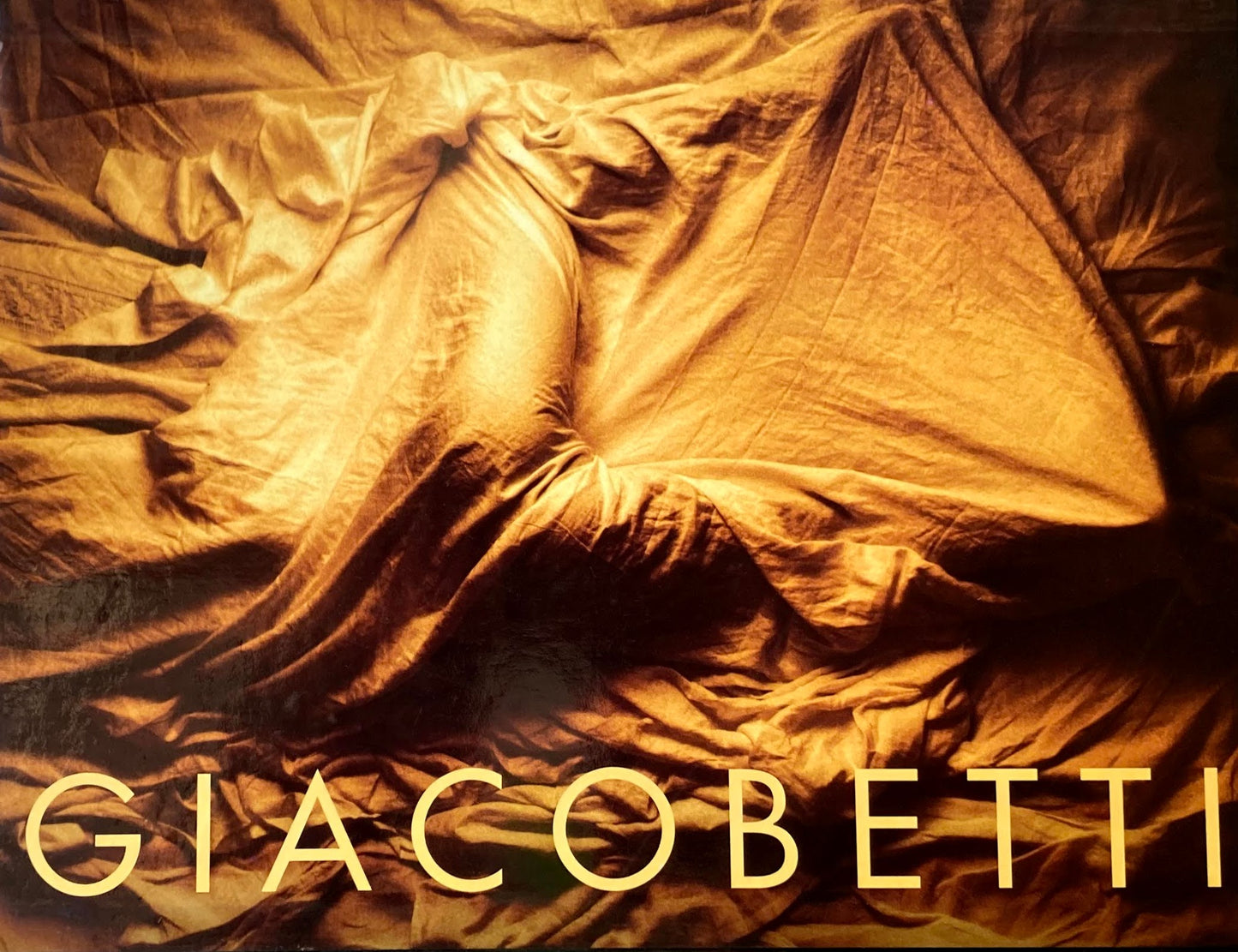 Giacobetti Écrire avec de la lumière フランシス・ジャコベッティ