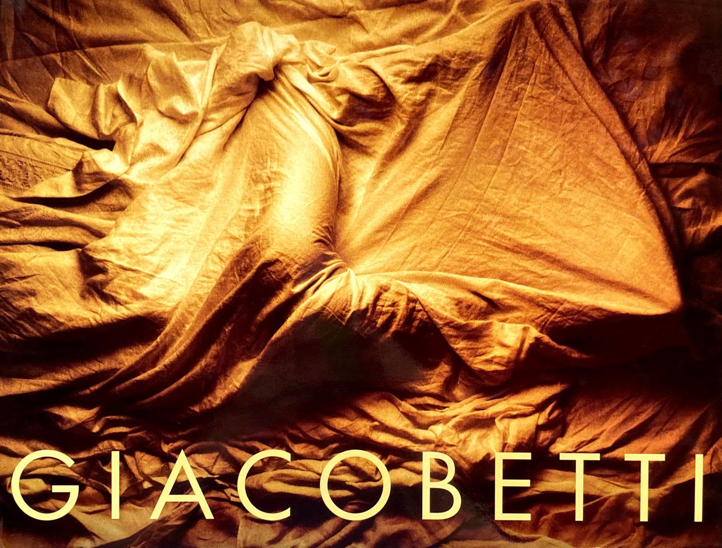 Giacobetti Écrire avec de la lumière フランシス・ジャコベッティ